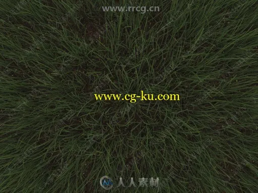 Happy Digital AutoGrass逼真草地3dsmax插件V1.5版的图片3