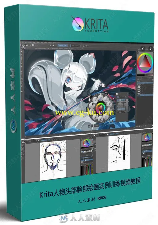 Krita人物头部脸部绘画实例训练视频教程的图片2