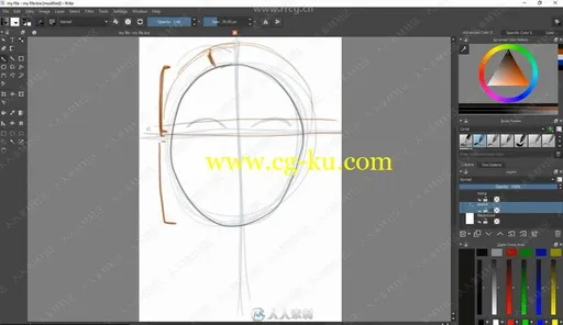 Krita人物头部脸部绘画实例训练视频教程的图片3