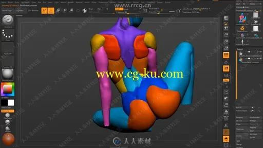 ZBrush女性身体解剖学建模技术视频教程的图片3