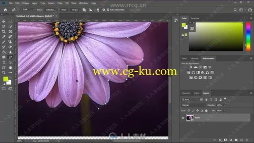 Photoshop初学者入门指南视频教程的图片1