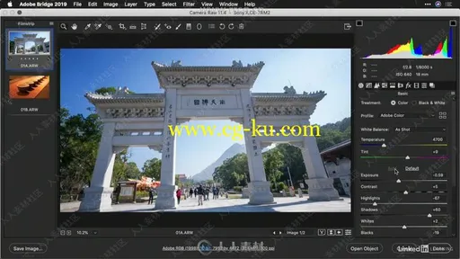 Camera Raw摄影后期照片编辑技术视频教程的图片1