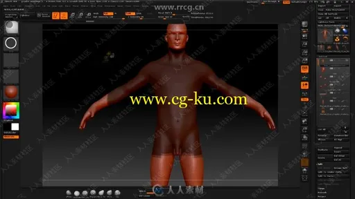 ZBrush人体头部手足身体解剖训练视频教程的图片2