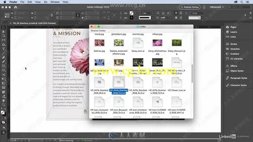 InDesign 2020排版设计基础核心训练视频教程的图片2