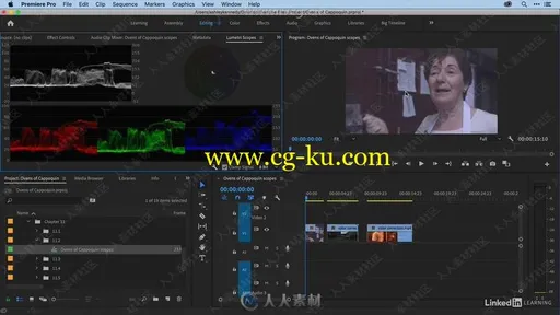 Premiere Pro 2020全面核心技术训练视频教程的图片1