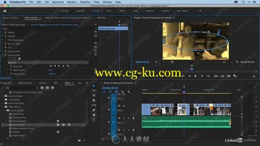 Premiere Pro 2020全面核心技术训练视频教程的图片2