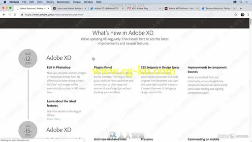 Adobe XD协作设计系统技术训练视频教程的图片2