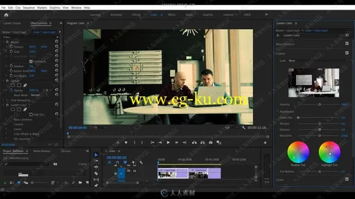 Premiere Pro色彩校正与分级技术训练视频教程的图片2
