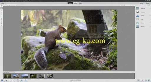 Photoshop Elements图像编辑软件V2020.1版的图片1