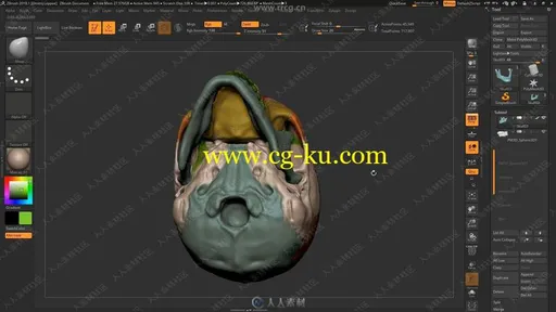 ZBrush人物面部人脸造型雕刻大师级视频教程的图片1