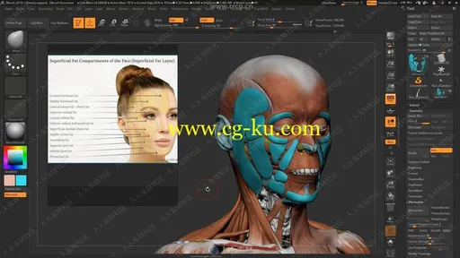 ZBrush人物面部人脸造型雕刻大师级视频教程的图片2