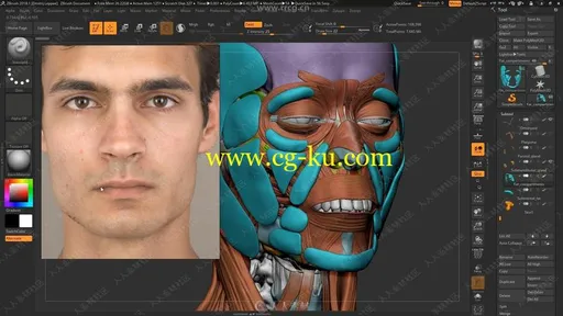 ZBrush人物面部人脸造型雕刻大师级视频教程的图片3