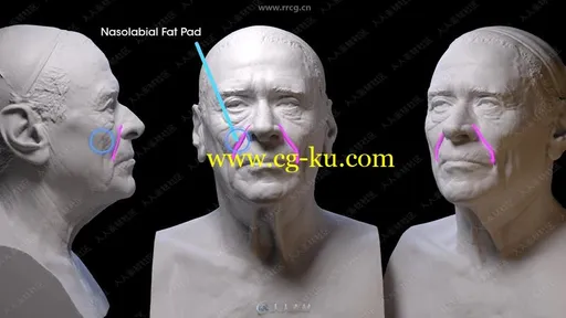 ZBrush脸部面部数字雕刻完全训练视频教程的图片1