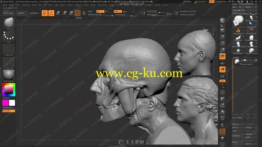 ZBrush脸部面部数字雕刻完全训练视频教程的图片2