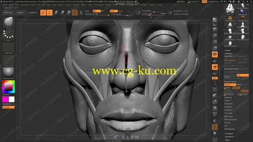 ZBrush脸部面部数字雕刻完全训练视频教程的图片3