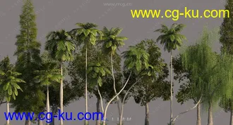 17组高品质树木植物3D模型合集的图片2
