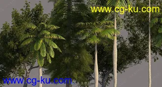 17组高品质树木植物3D模型合集的图片3