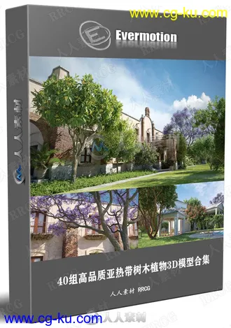 40组高品质亚热带树木植物3D模型合集 Evermotion Archmodels第210季的图片1