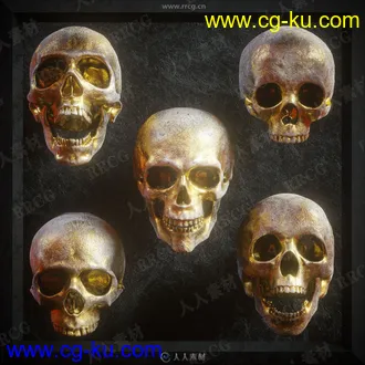 5组骷髅头部人类骨骼雕刻3D模型合集的图片1