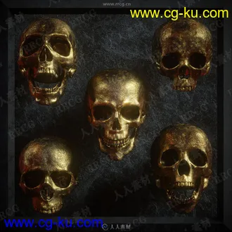 5组骷髅头部人类骨骼雕刻3D模型合集的图片2
