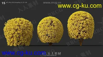 90组高精度灌木花草植物3D模型合集的图片3