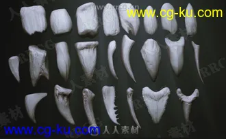 24组Zbrush牙齿雕刻3D模型与笔刷合集的图片1