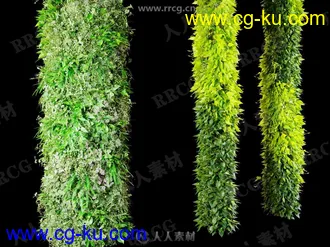 40组高精度室内垂直装饰陈设植物植被绿植3D模型合集的图片2