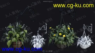 微型花园悬挂花盆茂盛植物吊篮3D模型合集的图片3