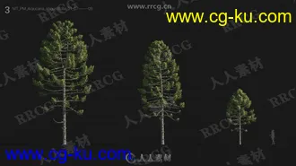 72组高精度草木植物3D模型Vol.24合集的图片2