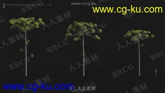 72组高精度草木植物3D模型Vol.24合集的图片3
