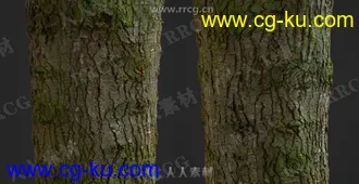 32组4K高精度树木树皮PBR纹理贴图合集第二季的图片2