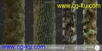 32组4K高精度树木树皮PBR纹理贴图合集第二季的图片3