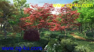 69组高精度树木草木植物3D模型合集的图片1