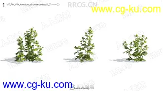 72组高精度草木花卉植物3D模型合集的图片1