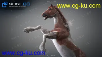 超逼真马匹骏马造型动画高精度3D模型的图片3