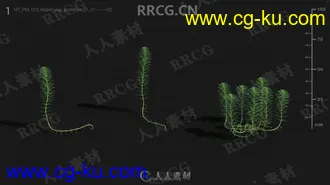 72组高精度水生植物3D模型合集的图片1