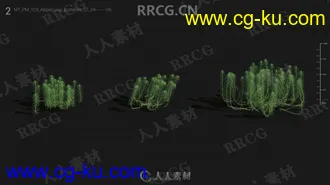 72组高精度水生植物3D模型合集的图片3