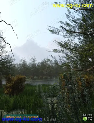 不同季节森林湖泊自然景观场景3D模型合集的图片3