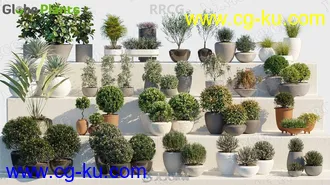 58组逼真装饰性盆栽植物3D模型合集的图片2