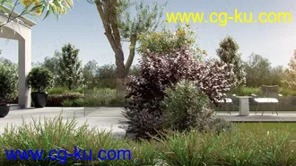 75组花园园艺花草树木植物3D模型合集的图片3