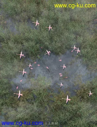 40多种芦苇草丛植被湿地环境场景3D模型合集的图片1