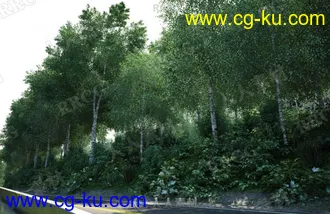 50组高质量各类树木植物3D模型合集的图片2