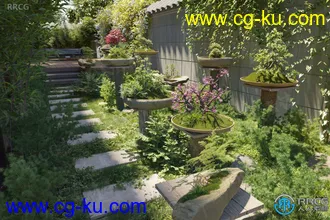 6种高质量掌上明珠小石菖蒲等盆栽盆景植物3D模型合集的图片3