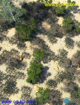 热带地中海灌木植被环境场景3D模型合集的图片1