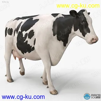 5组高质量奶牛循环动画与3D模型的图片1