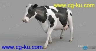 5组高质量奶牛循环动画与3D模型的图片3