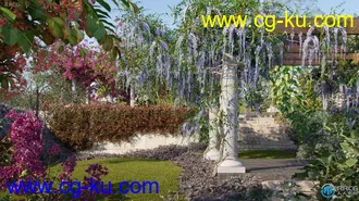 15种藤蔓和爬山虎等植物高质量树木植物3D模型合集的图片1