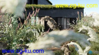 15种芦荟珊瑚草鹤顶红观赏灌木草高质量植物3D模型合集的图片3
