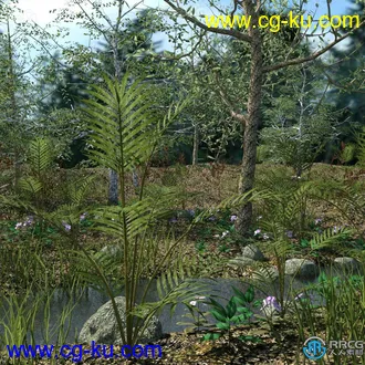 野外森林植被小溪环境场景3D模型合集的图片3