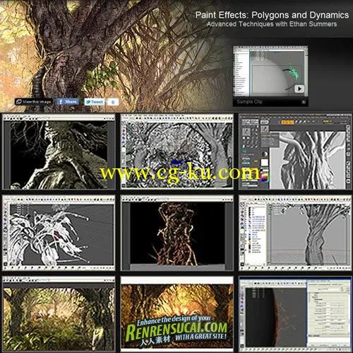 《Maya 笔刷 多边形与动力学教程》(Gnomon Paint Effects - Polygons and Dynamics)的图片2